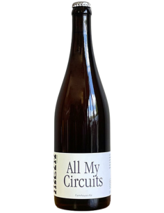 META - ALL MY CIRCUITS - Saison Rye 37,5cl - Buscador de Cervezas - Brewhouse