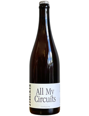 META garrafa de 37,5cl de cerveja de marca - ALL MY CIRCUITS, estilo Saison Rye