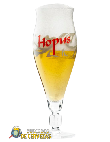 HOPUS - Copa Tulip - 33cl