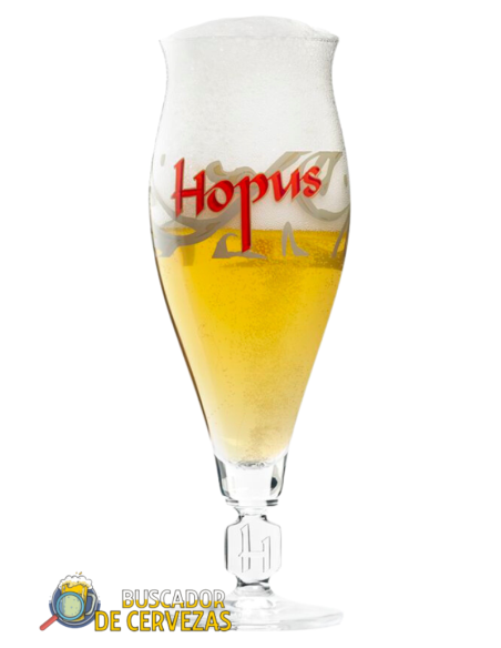 HOPUS - Copa Tulip - 33cl