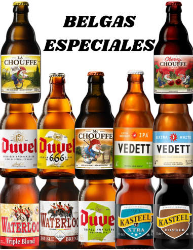 lote 12x33cl de diferentes estilos de cerveja