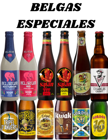 lote 12x33cl de diferentes estilos de cerveja