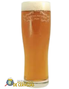 SIERRA NEVADA - Vaso de Pinta - 50cl 2