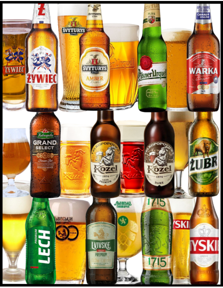 LOTE - PAISES DEL ESTE - Según Stock 12 Botellas 33cl