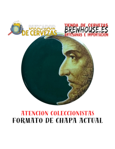 STRAFFE HENDRIK - BRUGS TRIPEL 9 - Belgian Tripel 33cl 2