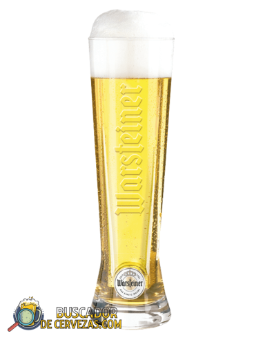 WARSTEINER - Copo Pilsner Familientraditions - 50cl