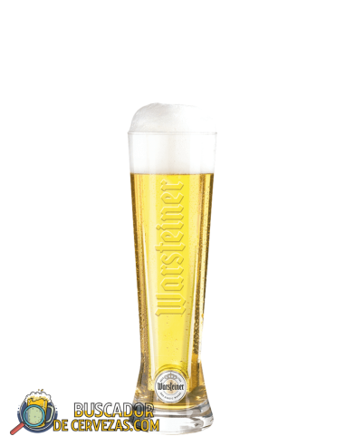 WARSTEINER - Familientraditions Vaso Pilsner - 20cl
