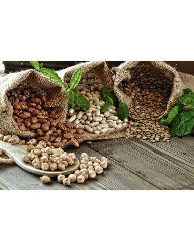 LA MEJOR ALUBIA - GARBANZO PICO PARDAL - 1Kg.