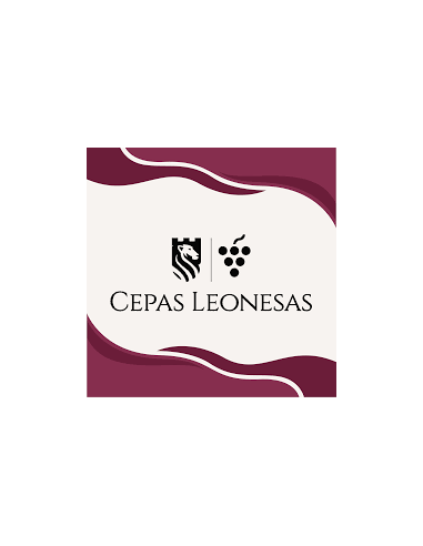 CEPAS LEONESAS - ALBARIN BLANCO - D.O. LEON 2024 75cl
