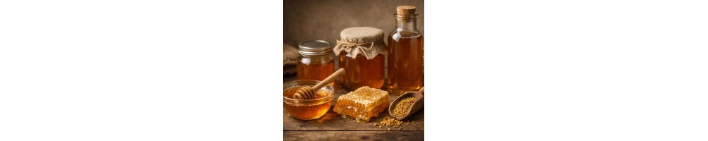 MEL E PRODUTOS À BASE DE MEL